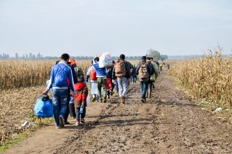 A line of migrants walking along a dirt path through a harvested corn field, carrying backpacks and bags.