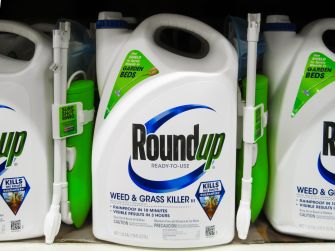 A row of Roundup weed killer bottles on a store shelf, featuring the Roundup logo and green spray nozzles.
