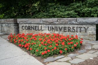 Stone sign reading “Cornell University” beside a bed of red flowers.