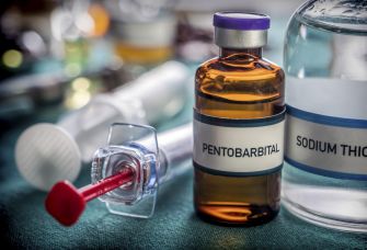 Vials labeled pentobarbital and sodium thiopental beside an intravenous catheter and syringe.