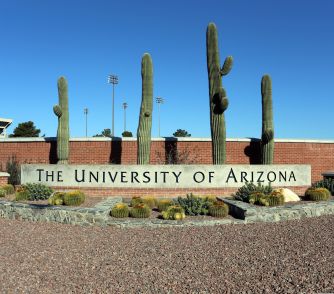 University of Arizona sign and tall cacti outside a campus building.