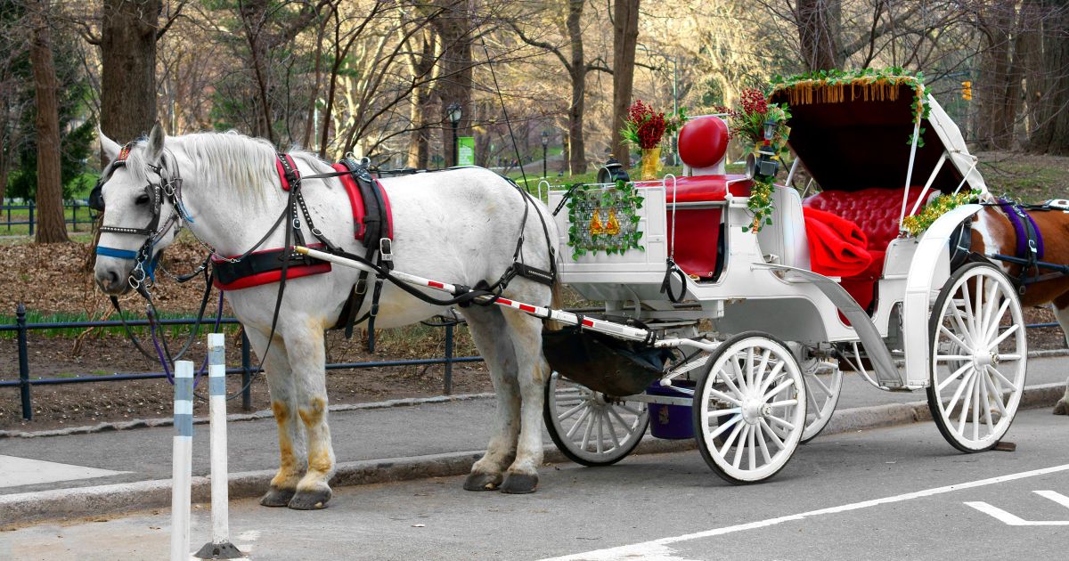 NYC Council votes to end Central Park horse carriages by 2028 as union threatens federal lawsuit