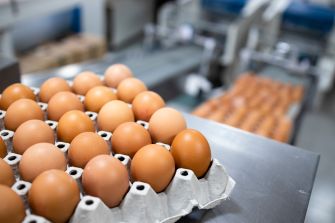 Brown eggs in a carton on a production line at an egg-processing facility.