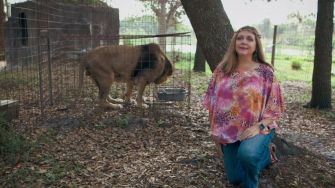 A woman in a pink patterned blouse and jeans kneels beside a large tiger behind a chain-link enclosure at a tiger sanctuary.