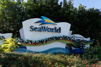 SeaWorld entrance sign with colorful logo, surrounded by greenery and festive garlands.