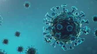 3D illustration of a coronavirus particle, representing the COVID-19 virus.