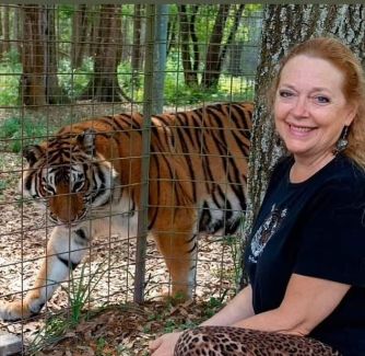 Smiling woman sitting beside a tiger in a fenced outdoor enclosure.