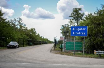 Sign for "Alligator Alcatraz," an immigration detention center in Florida, with a road leading to the facility surrounded by trees.
